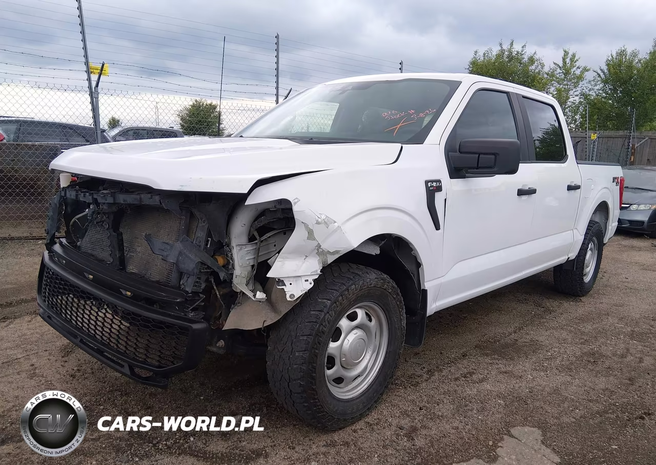 2021 Ford F-150 Xl VIN:1FTEW1EP8MKE95803 - 2