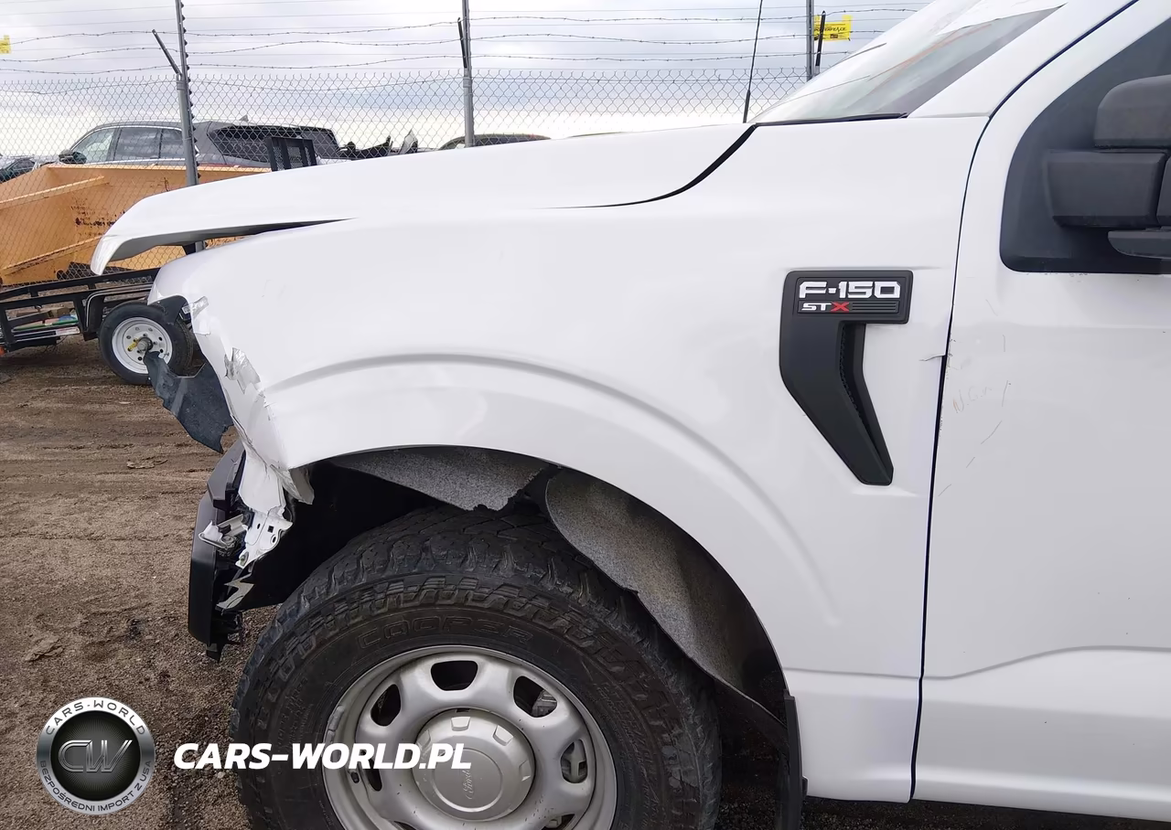 2021 Ford F-150 Xl VIN:1FTEW1EP8MKE95803 - 20