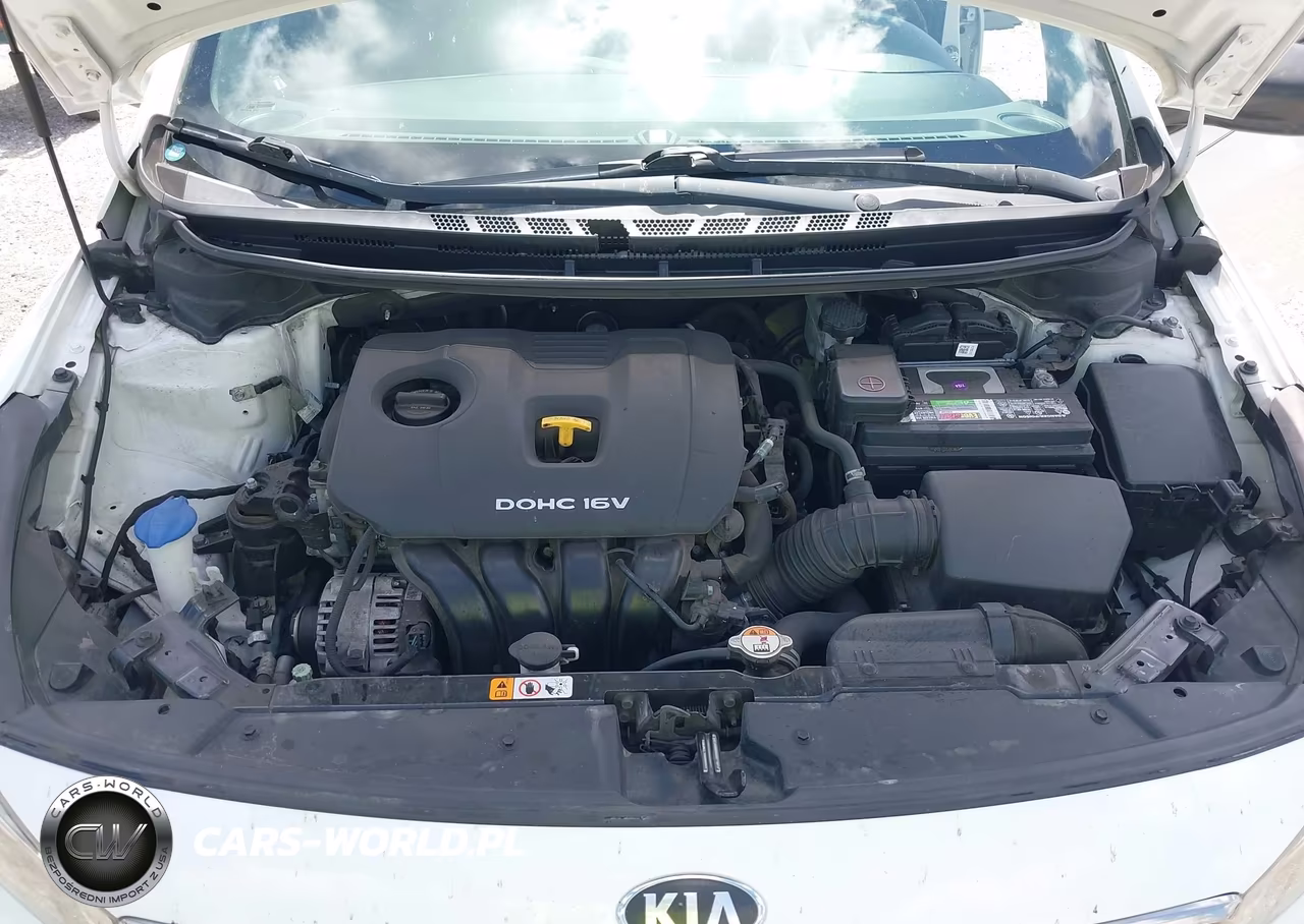 2017 Kia Forte S VIN:3KPFL4A77HE121020 - 10