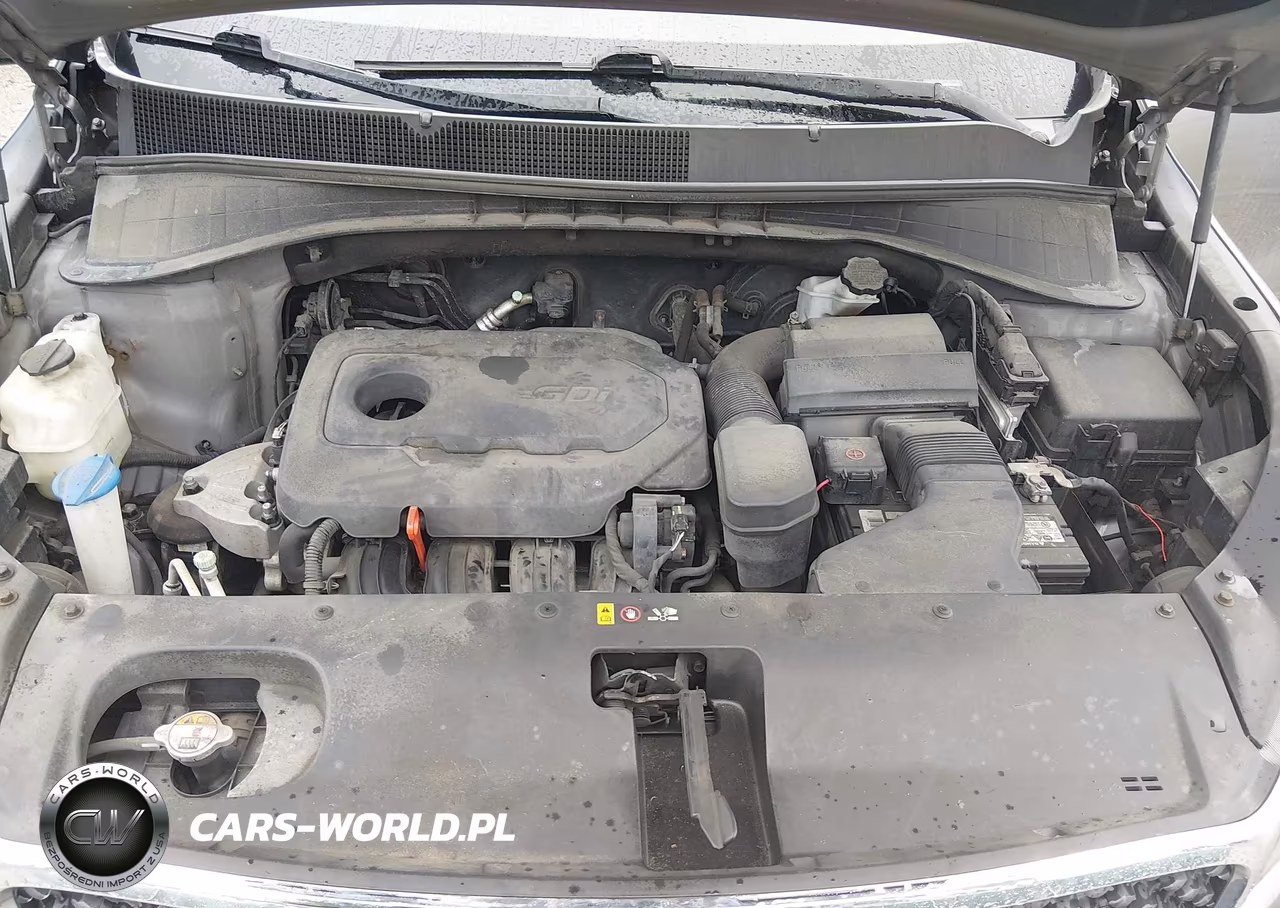 2016 Kia Sorento 2.4L Lx VIN:5XYPGDA3XGG041427 - 10