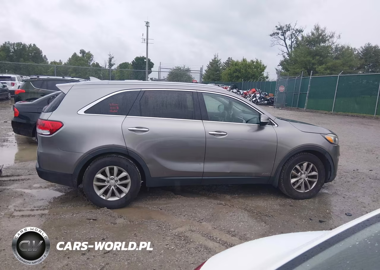 2016 Kia Sorento 2.4L Lx VIN:5XYPGDA3XGG041427 - 13