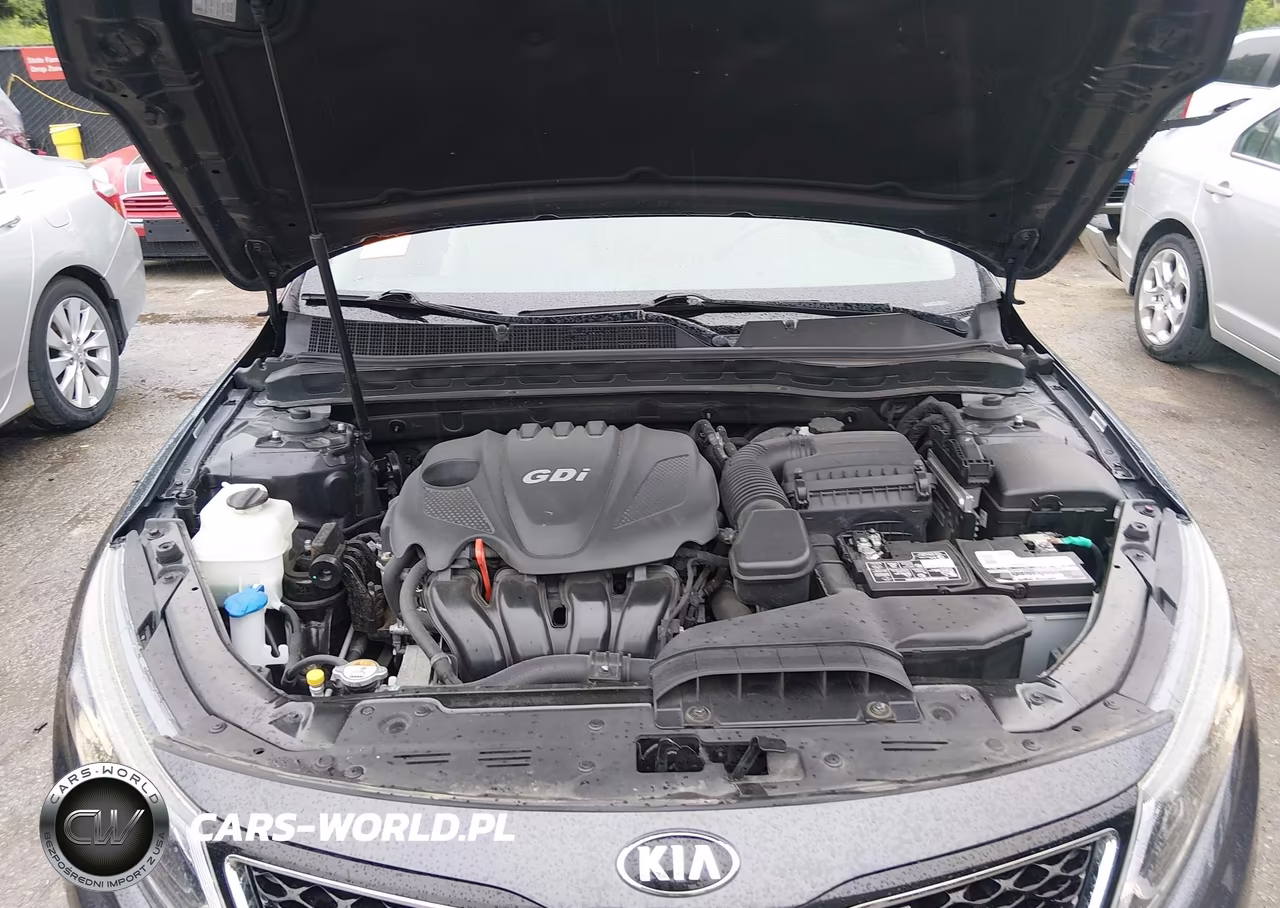2015 Kia Optima Ex VIN:5XXGN4A73FG445133 - 10