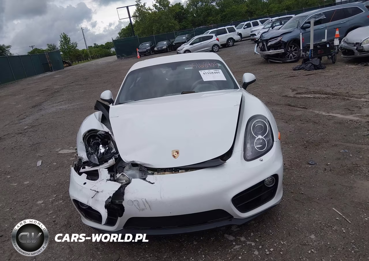 2016 Porsche Cayman VIN:WP0AA2A83GK170076 - 12