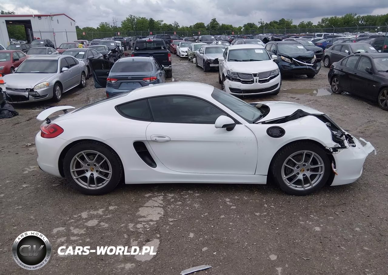 2016 Porsche Cayman VIN:WP0AA2A83GK170076 - 13