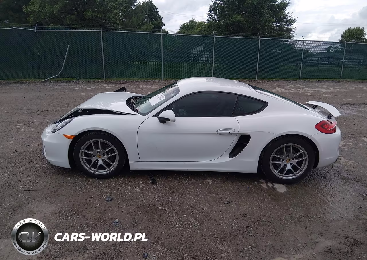 2016 Porsche Cayman VIN:WP0AA2A83GK170076 - 14