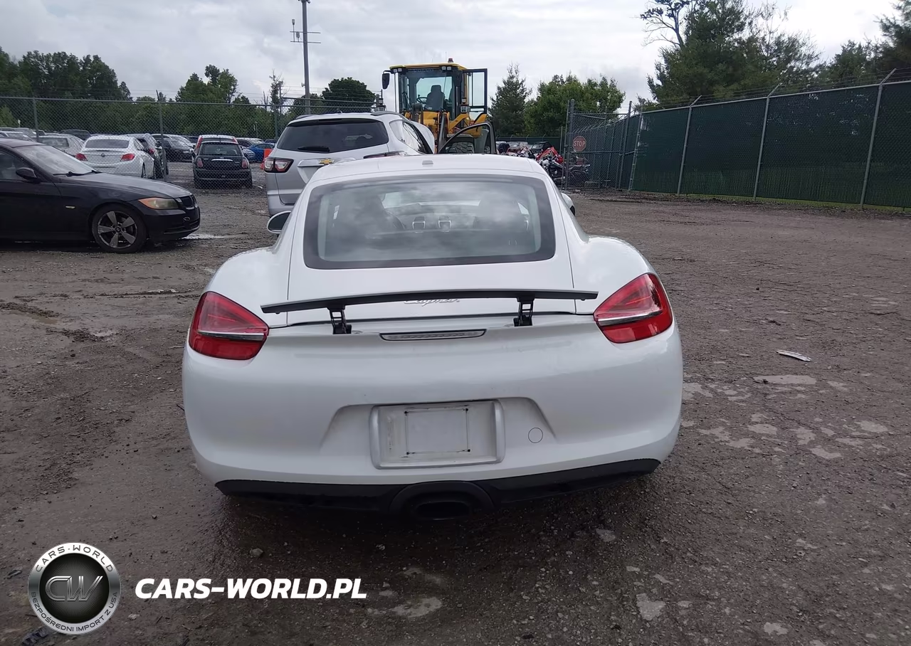 2016 Porsche Cayman VIN:WP0AA2A83GK170076 - 16