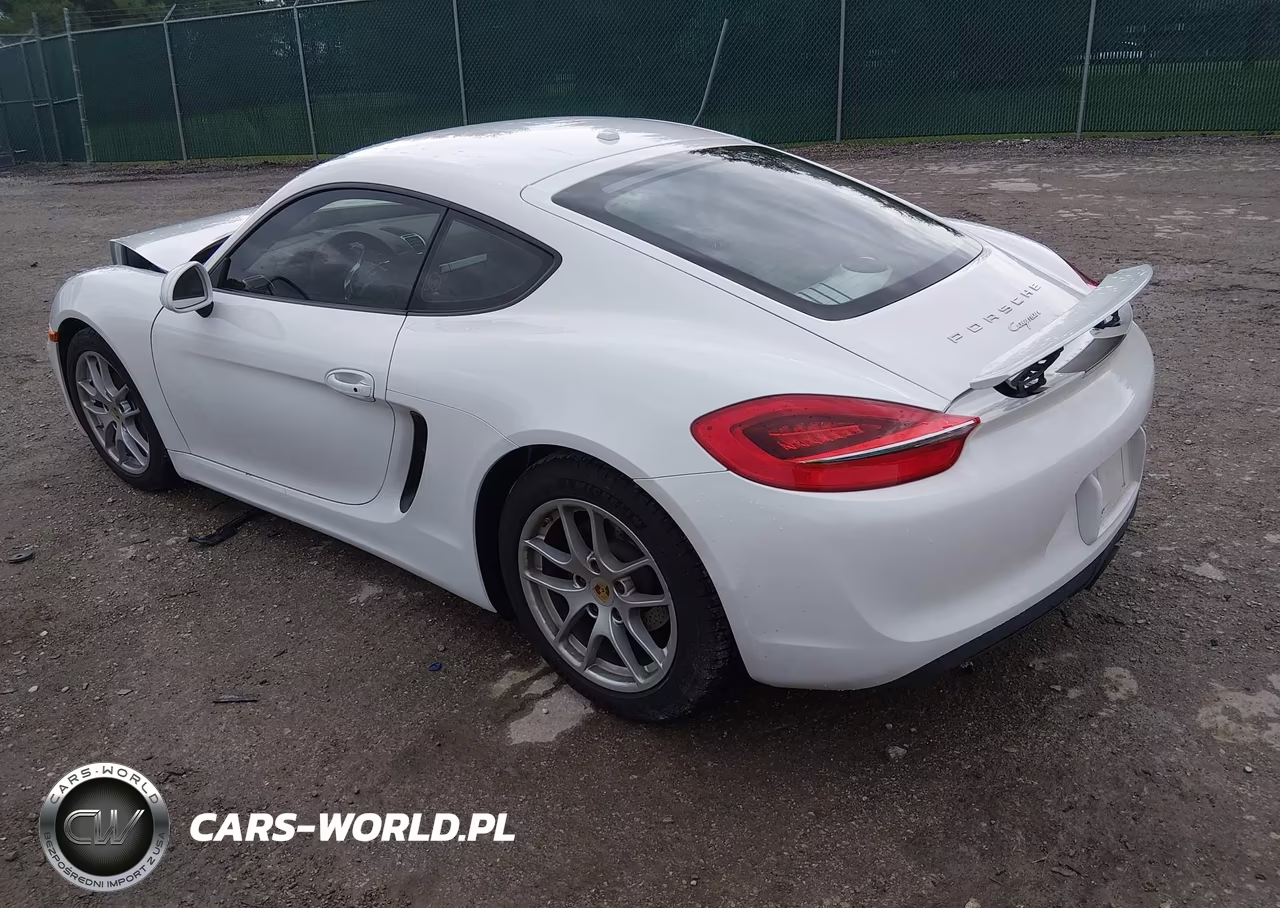 2016 Porsche Cayman VIN:WP0AA2A83GK170076 - 3
