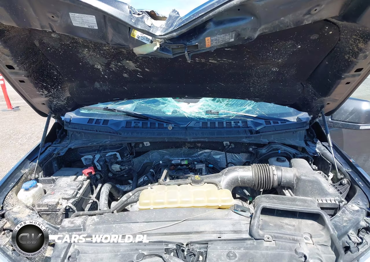 2020 Ford F-150 Lariat VIN:1FTEW1EP3LKD58914 - 10