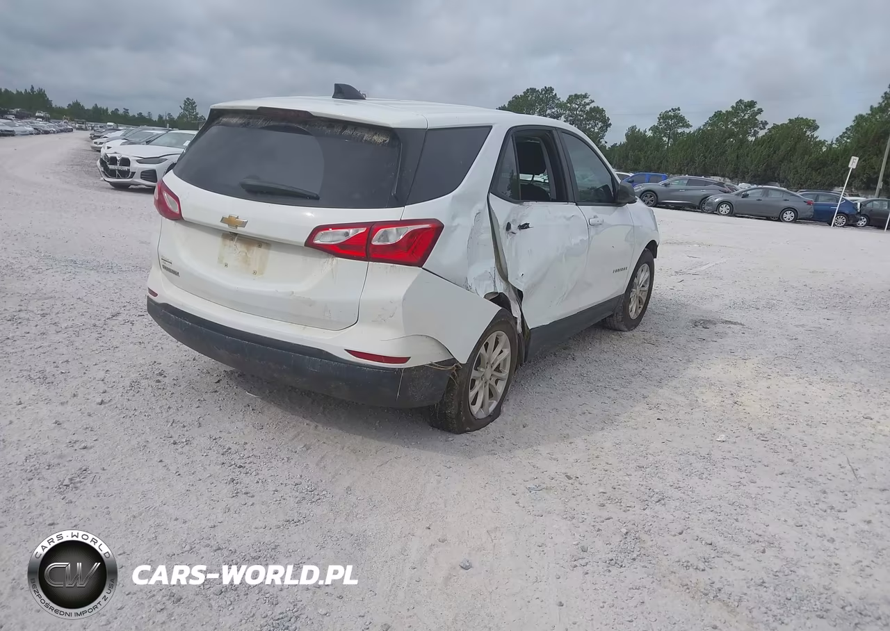 2020 Chevrolet Equinox Fwd Ls VIN:3GNAXHEV8LS550330 - 4