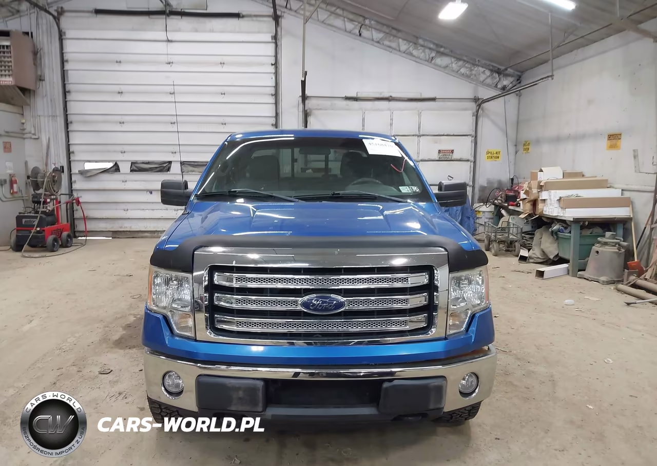 2010 Ford F-150 Stx-Xl VIN:1FTEX1EW4AFC47217 - 13