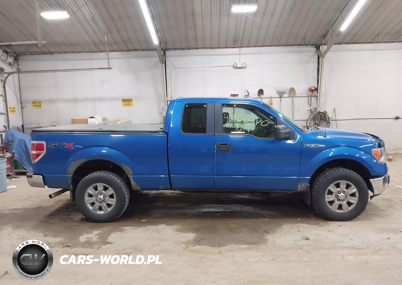 2010 Ford F-150 Stx-Xl VIN:1FTEX1EW4AFC47217 - 14