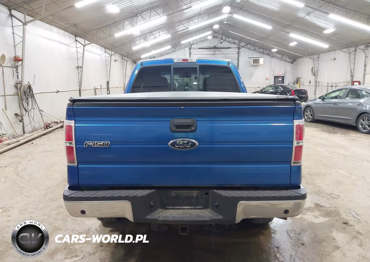 2010 Ford F-150 Stx-Xl VIN:1FTEX1EW4AFC47217 - 17