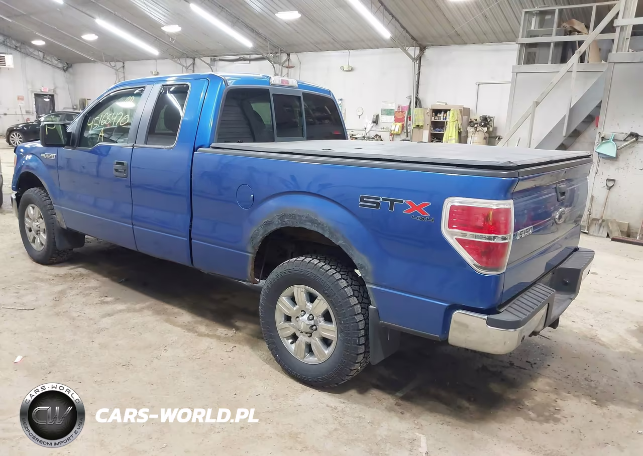 2010 Ford F-150 Stx-Xl VIN:1FTEX1EW4AFC47217 - 3