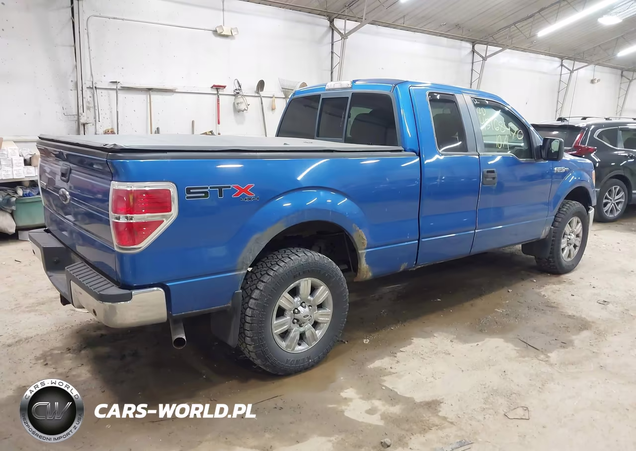 2010 Ford F-150 Stx-Xl VIN:1FTEX1EW4AFC47217 - 4