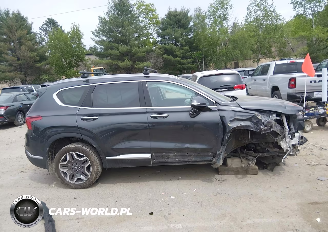 2021 Hyundai Santa Fe Limited VIN:5NMS4DAL8MH314725 - 14