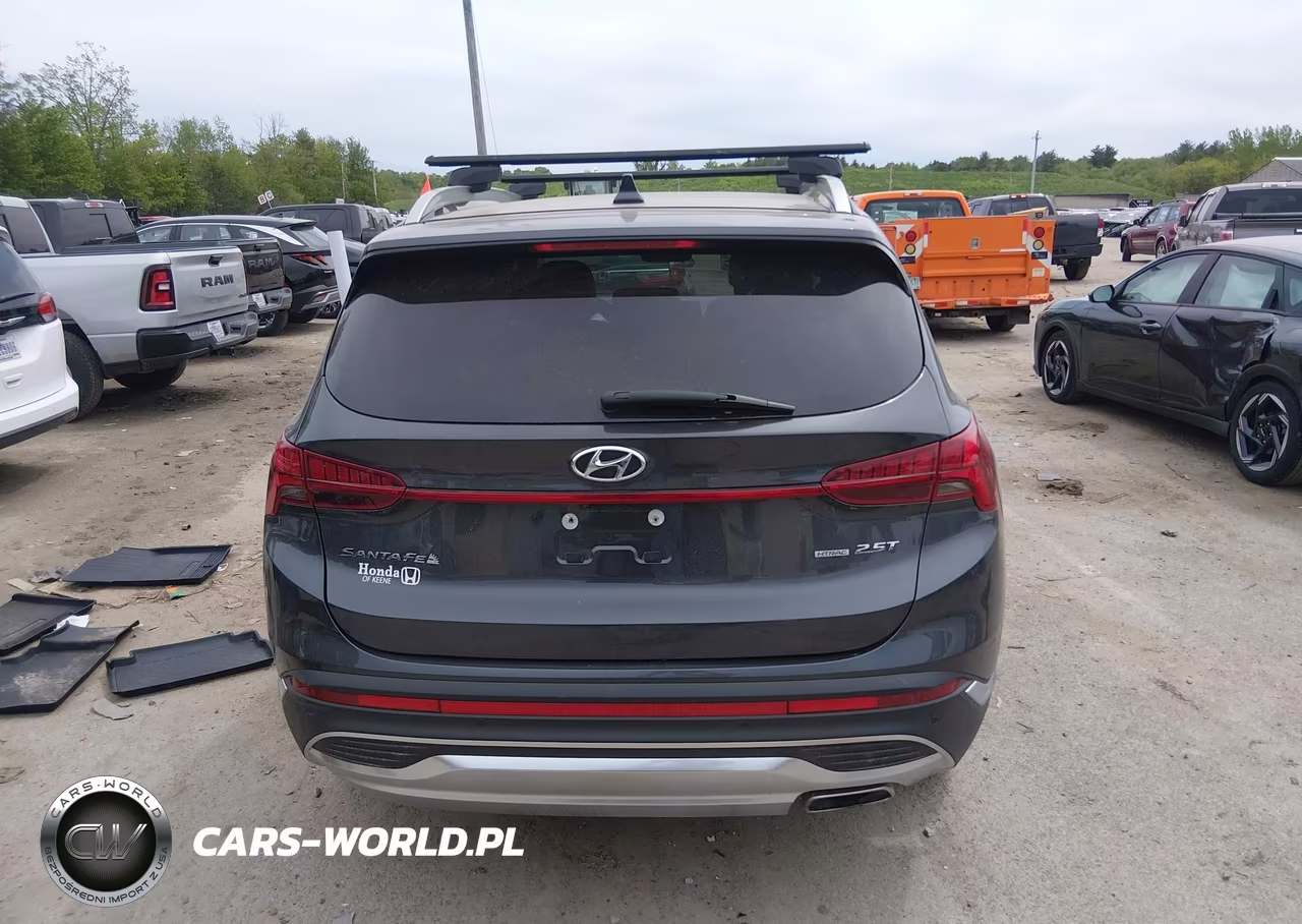 2021 Hyundai Santa Fe Limited VIN:5NMS4DAL8MH314725 - 17