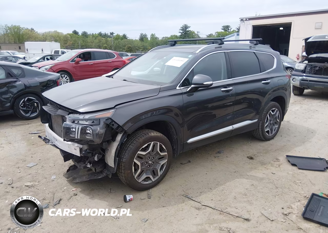 2021 Hyundai Santa Fe Limited VIN:5NMS4DAL8MH314725 - 2
