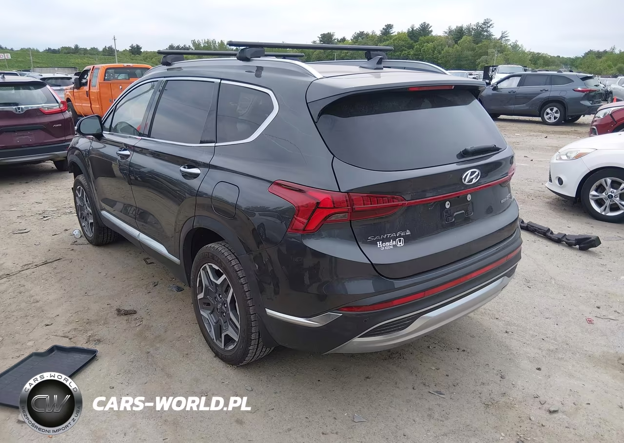 2021 Hyundai Santa Fe Limited VIN:5NMS4DAL8MH314725 - 3
