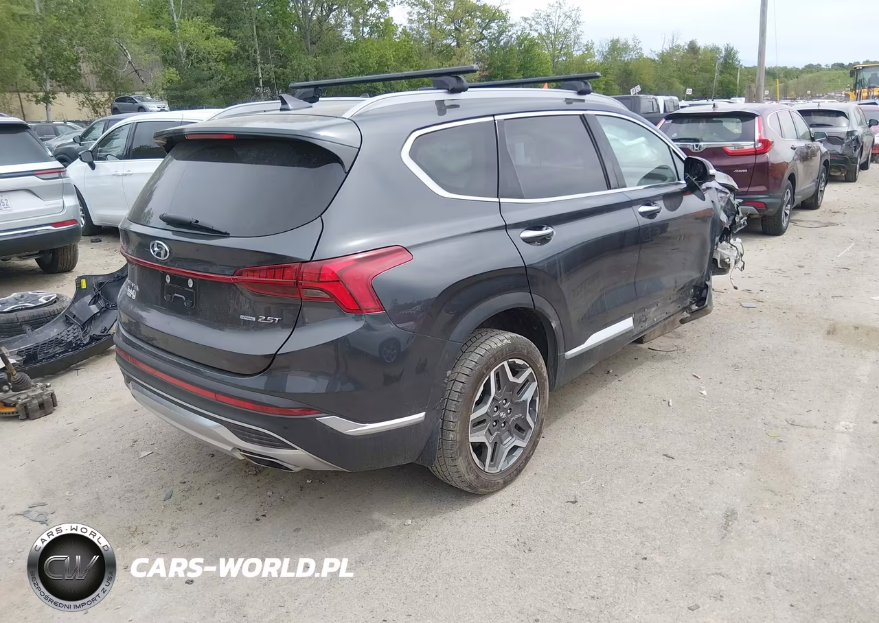 2021 Hyundai Santa Fe Limited VIN:5NMS4DAL8MH314725 - 4