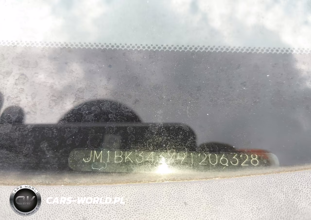 2009 Mazda Mazda3 S Sport VIN:JM1BK343X91206328 - 12