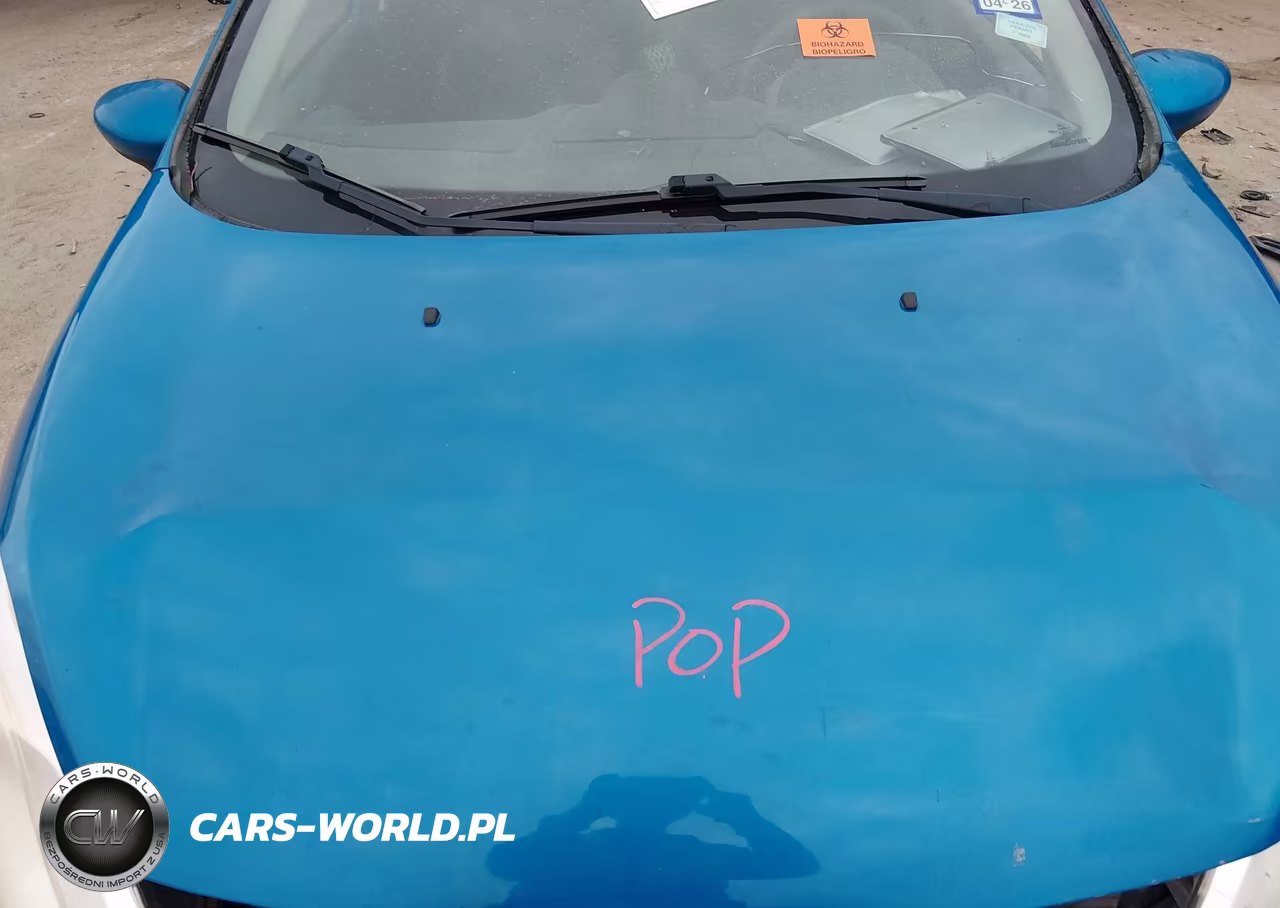 2012 Ford Fiesta Se VIN:3FADP4BJ1CM199044 - 10