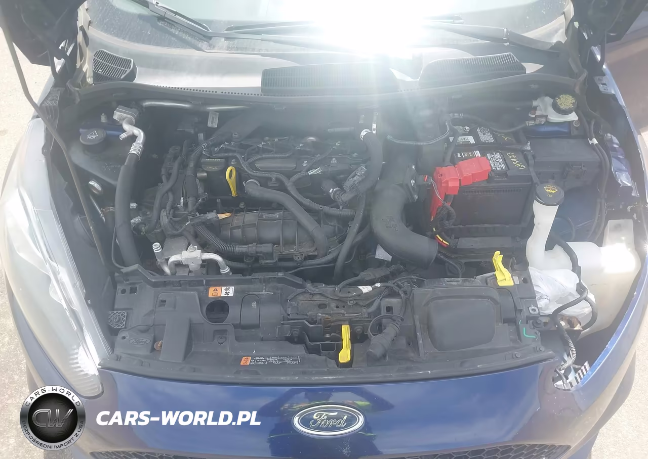 2016 Ford Fiesta St VIN:3FADP4GX3GM159552 - 10