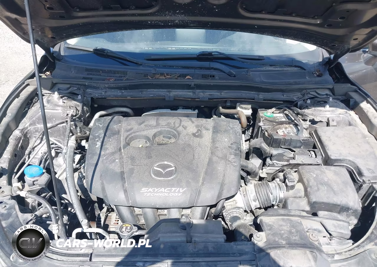 2016 Mazda Mazda3 I Sport VIN:JM1BM1U77G1333200 - 10