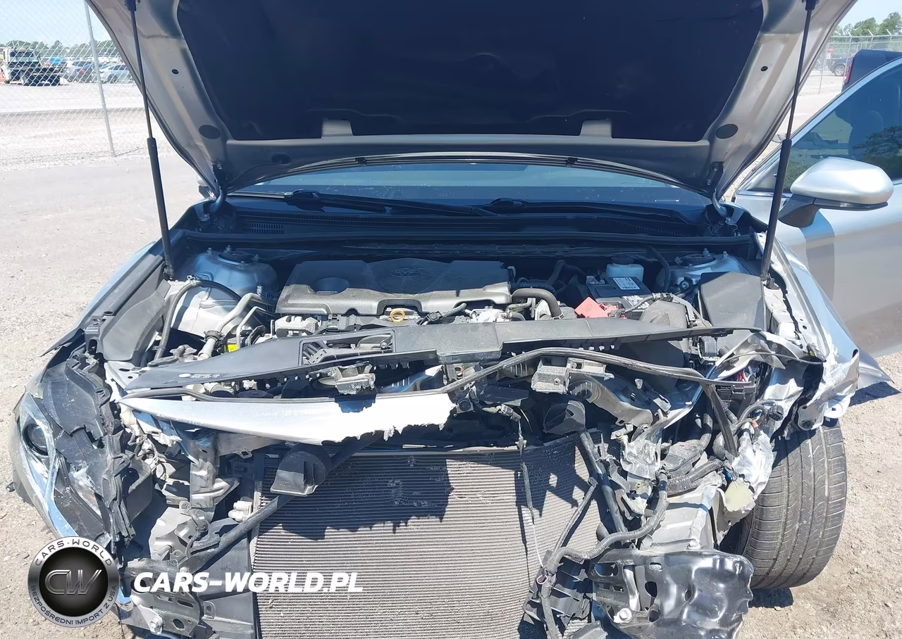 2019 Toyota Camry Le VIN:4T1B11HK1KU818927 - 10