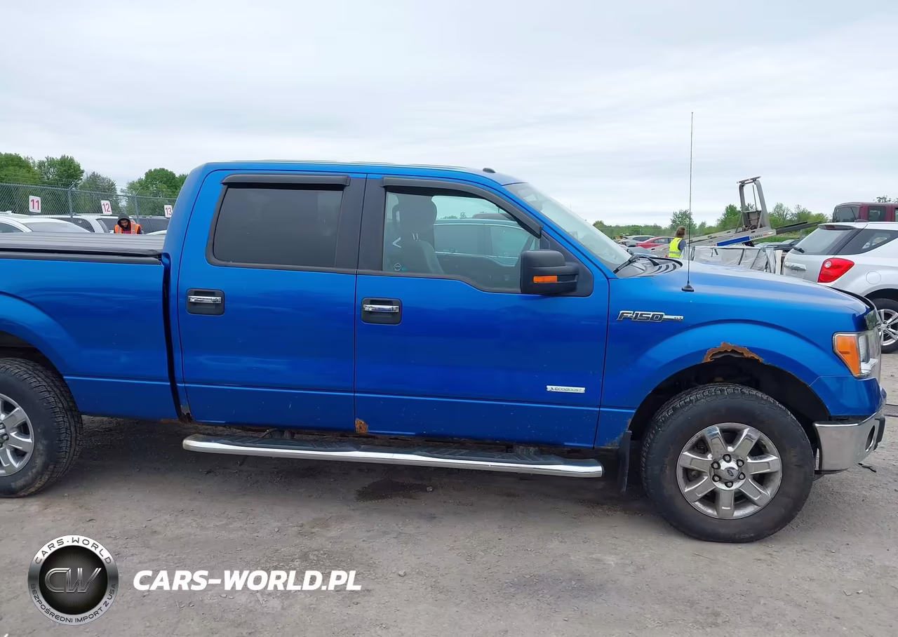 2014 Ford F-150 Xlt VIN:1FTFW1ET7EFB89347 - 13