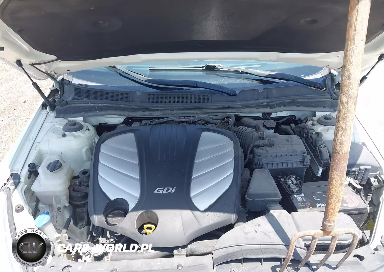 2014 Kia Cadenza Premium VIN:KNALN4D79E5167350 - 10