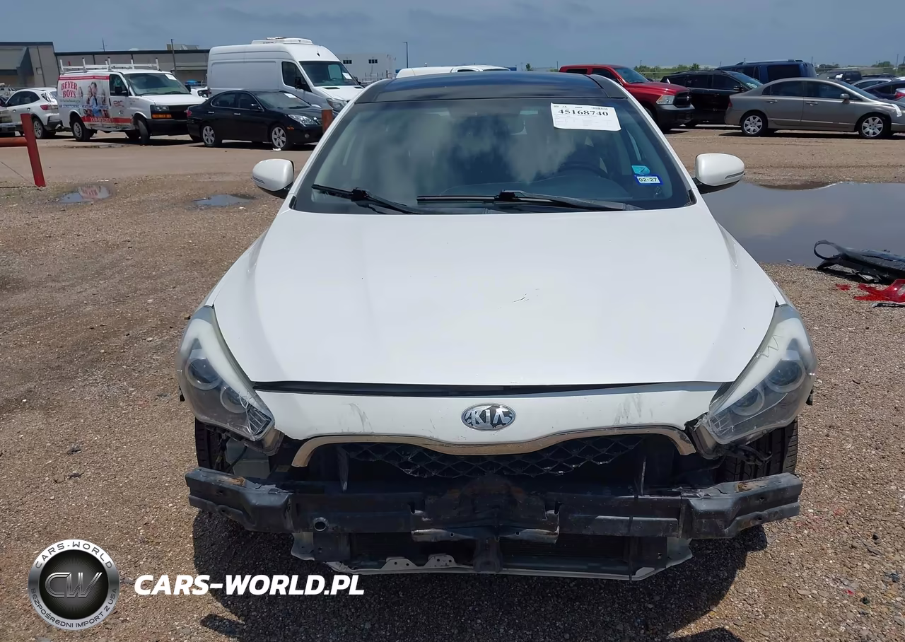 2014 Kia Cadenza Premium VIN:KNALN4D79E5167350 - 13