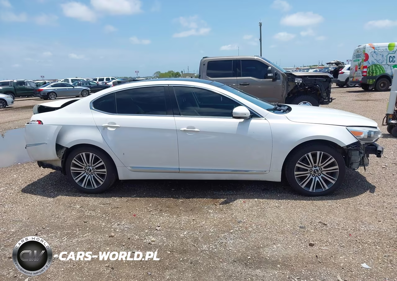 2014 Kia Cadenza Premium VIN:KNALN4D79E5167350 - 14
