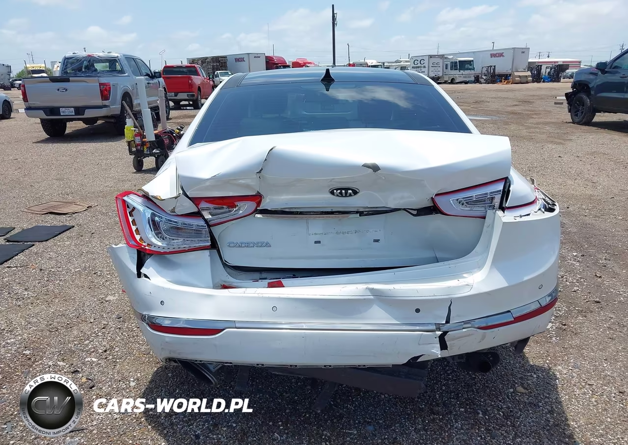 2014 Kia Cadenza Premium VIN:KNALN4D79E5167350 - 17