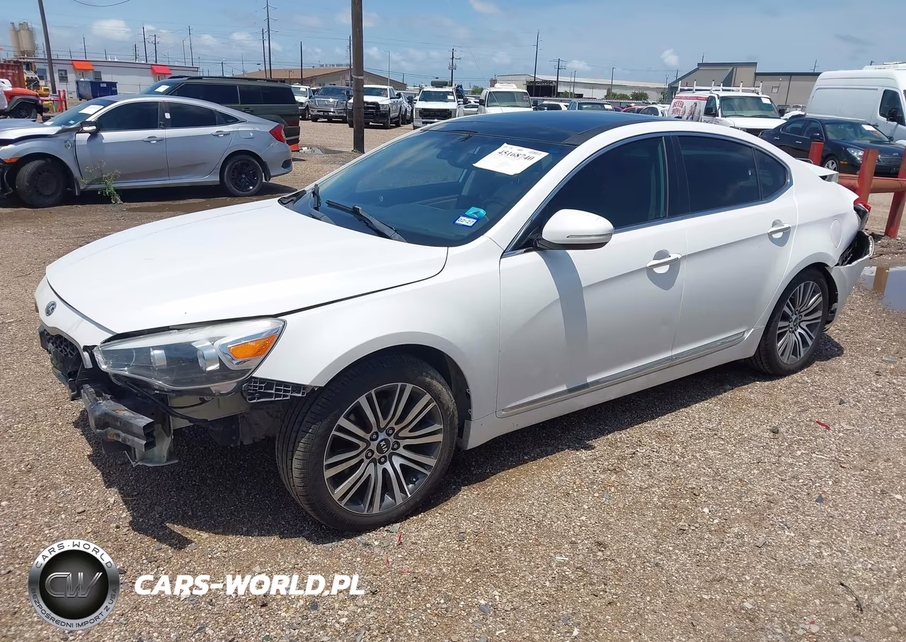 2014 Kia Cadenza Premium VIN:KNALN4D79E5167350 - 2