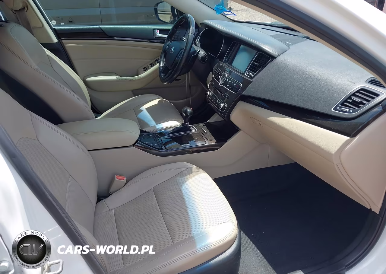 2014 Kia Cadenza Premium VIN:KNALN4D79E5167350 - 5