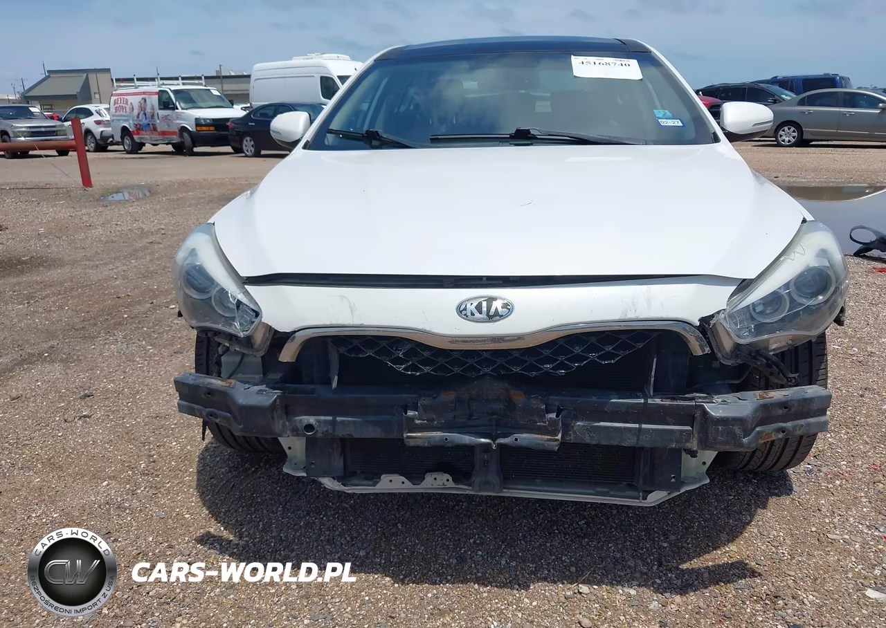 2014 Kia Cadenza Premium VIN:KNALN4D79E5167350 - 6