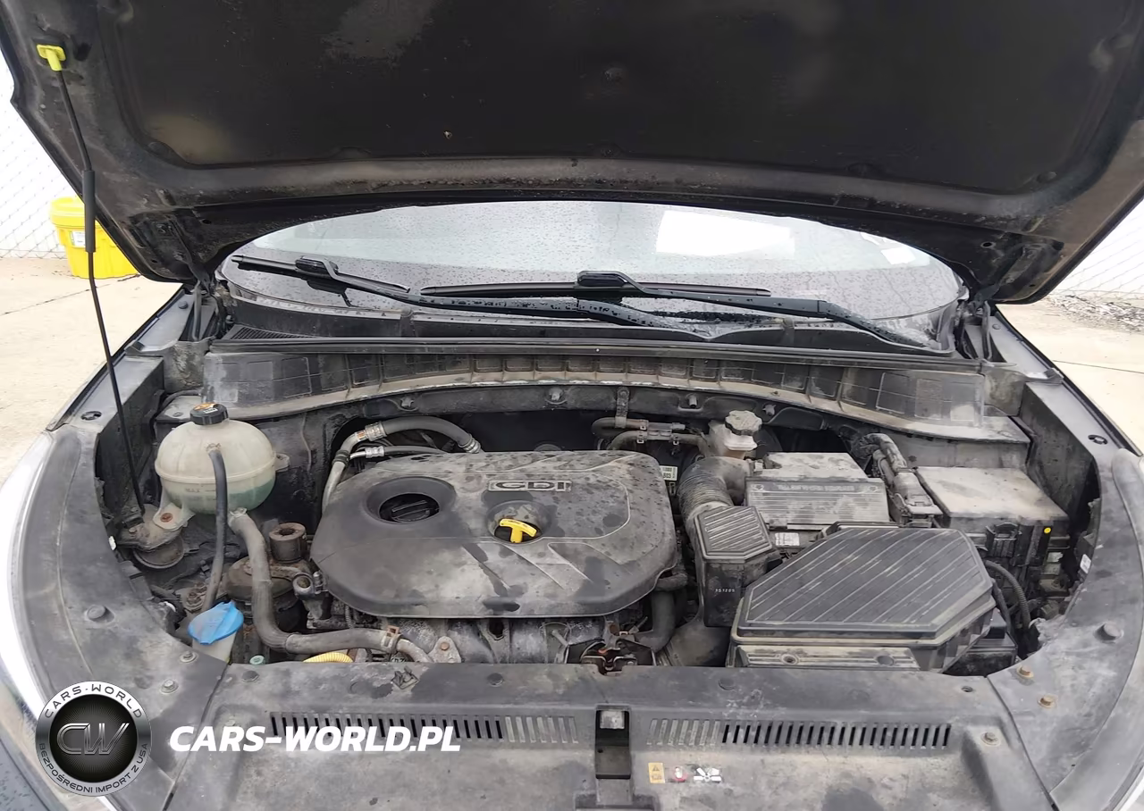 2016 Hyundai Tucson Se VIN:KM8J33A47GU143718 - 10