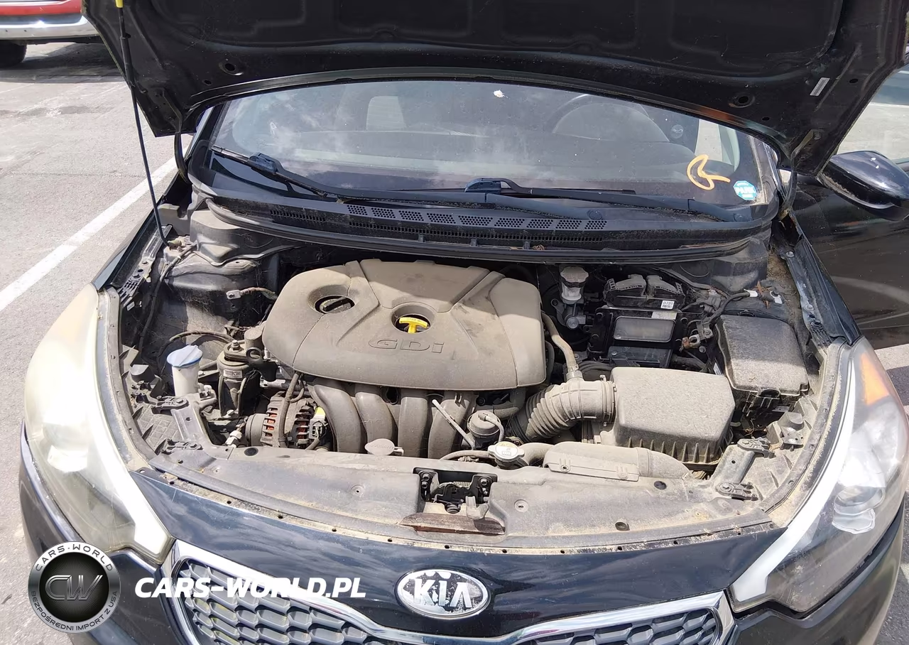 2014 Kia Forte Ex VIN:KNAFX4A84E5166840 - 10