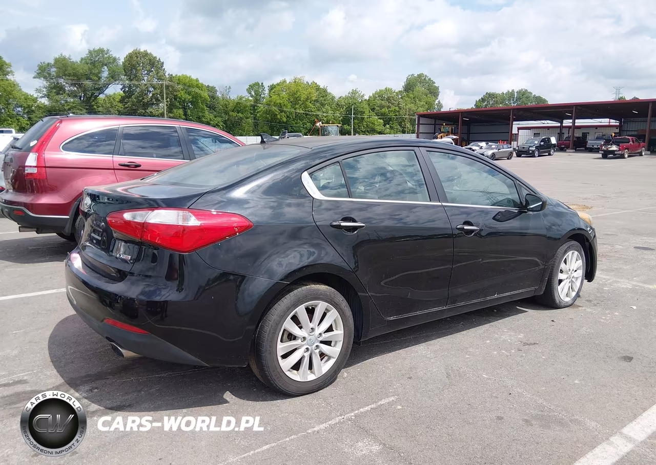 2014 Kia Forte Ex VIN:KNAFX4A84E5166840 - 4