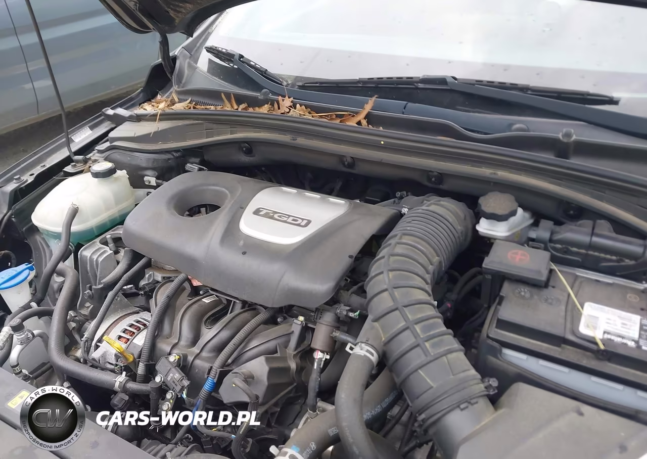 2018 Hyundai Elantra Gt Sport VIN:KMHH55LC3JU035547 - 10