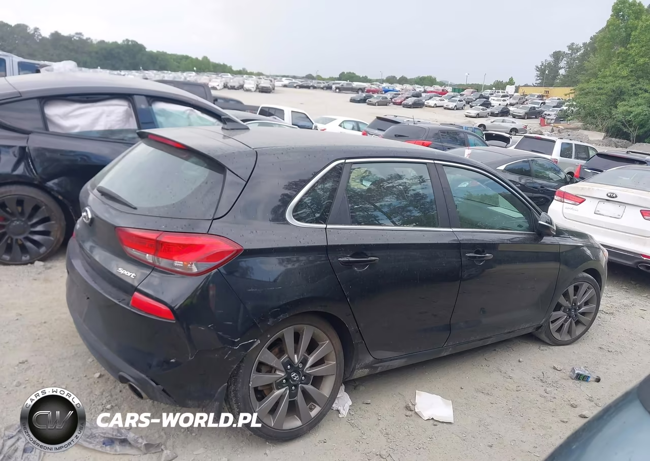 2018 Hyundai Elantra Gt Sport VIN:KMHH55LC3JU035547 - 13