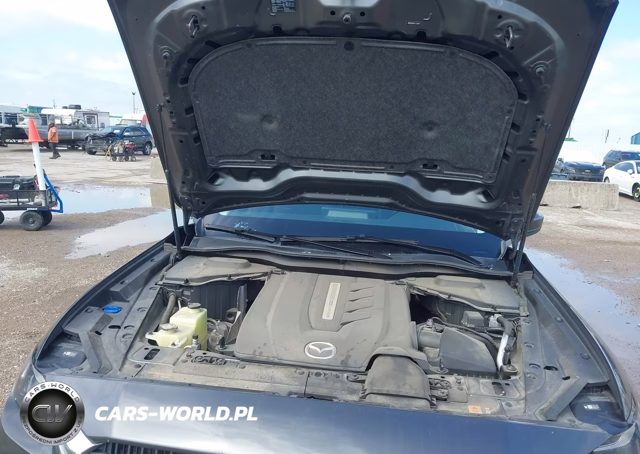 2024 Mazda Cx-90 Phev Preferred VIN:JM3KKBHA6R1135669 - 10