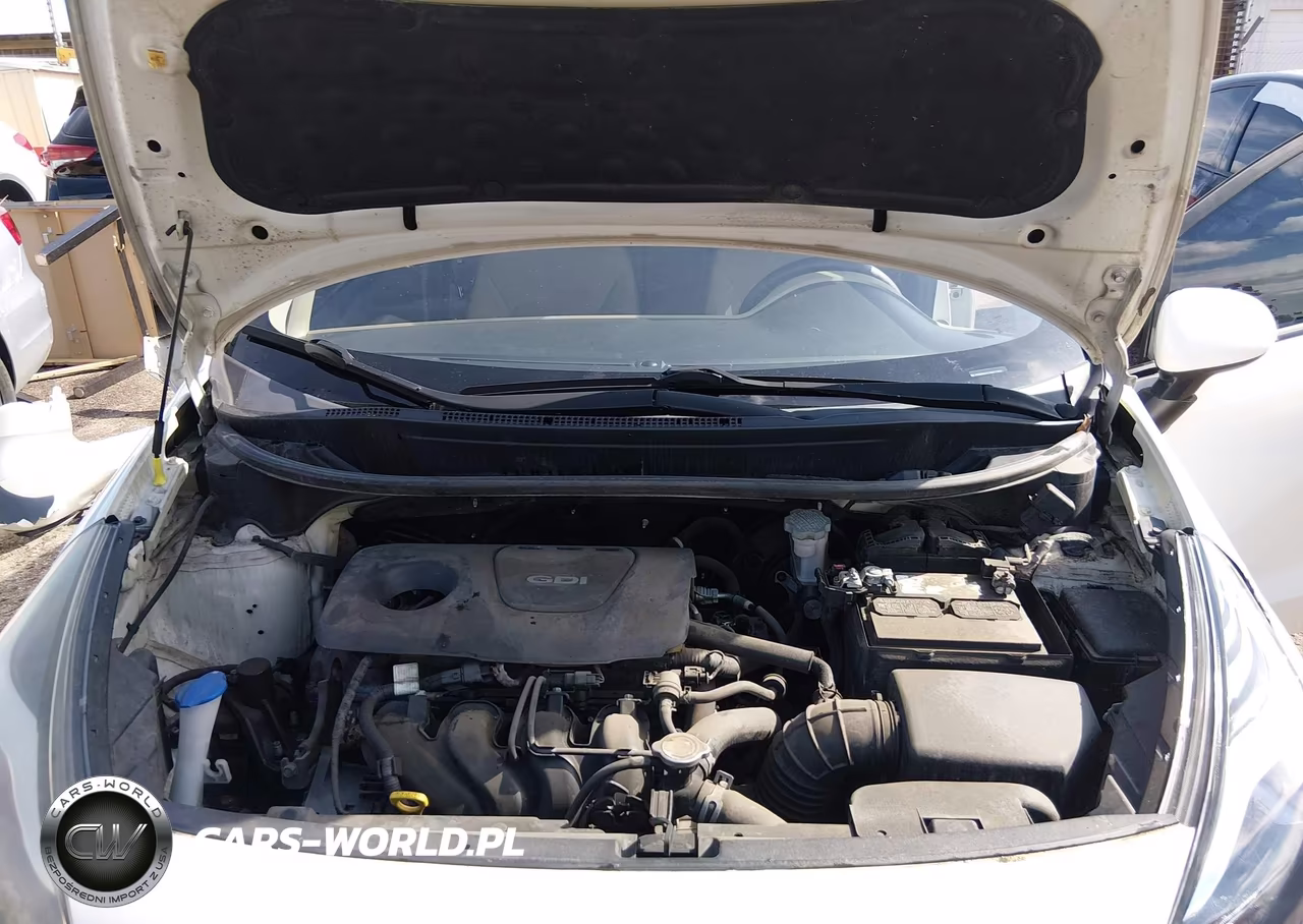 2017 Kia Rio Lx VIN:KNADM4A37H6117506 - 10