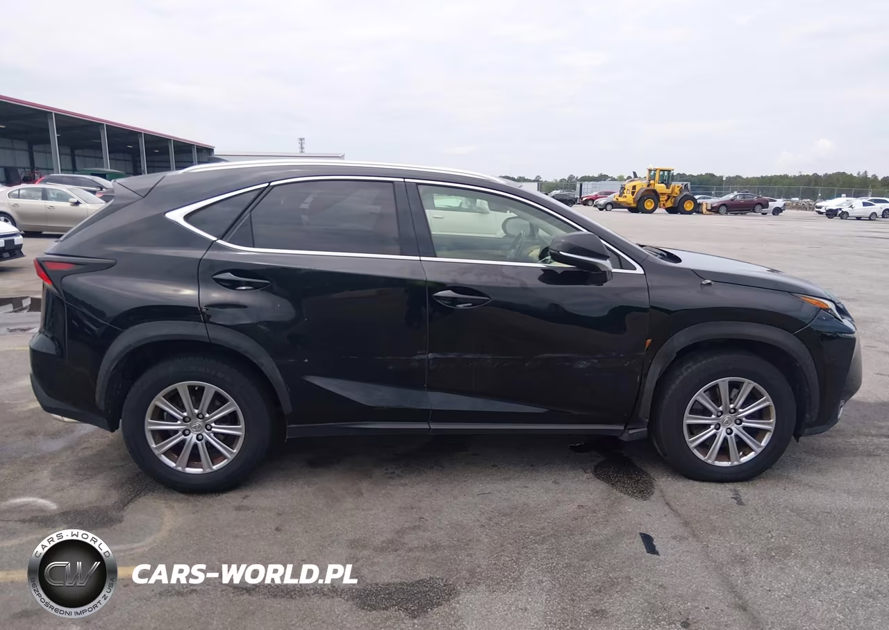 2015 Lexus Nx 200T VIN:JTJYARBZ9F2010410 - 13
