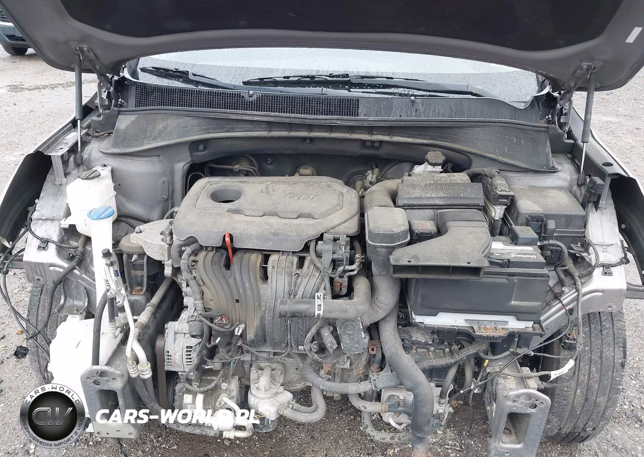 2019 Kia Sorento 2.4L Lx VIN:5XYPG4A33KG434081 - 10