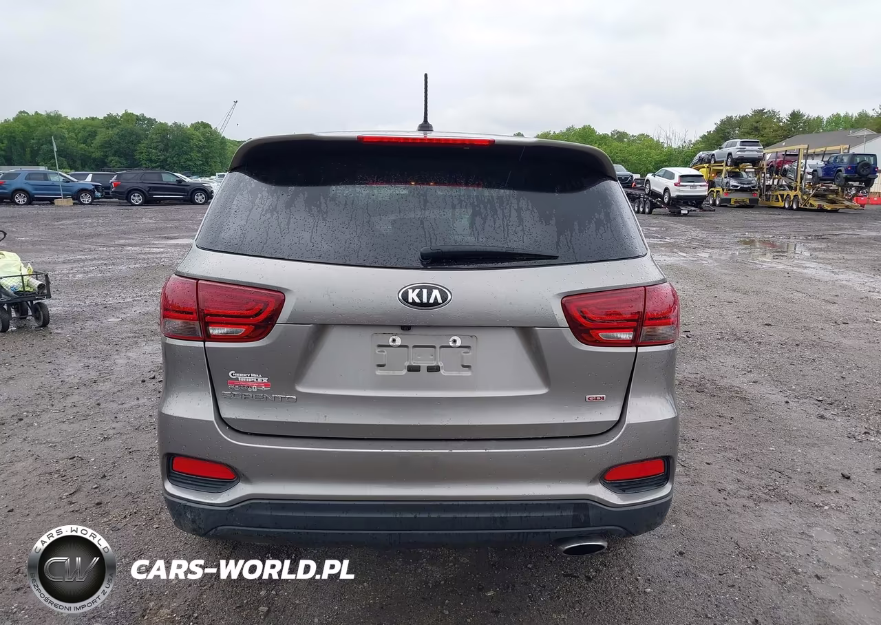 2019 Kia Sorento 2.4L Lx VIN:5XYPG4A33KG434081 - 17