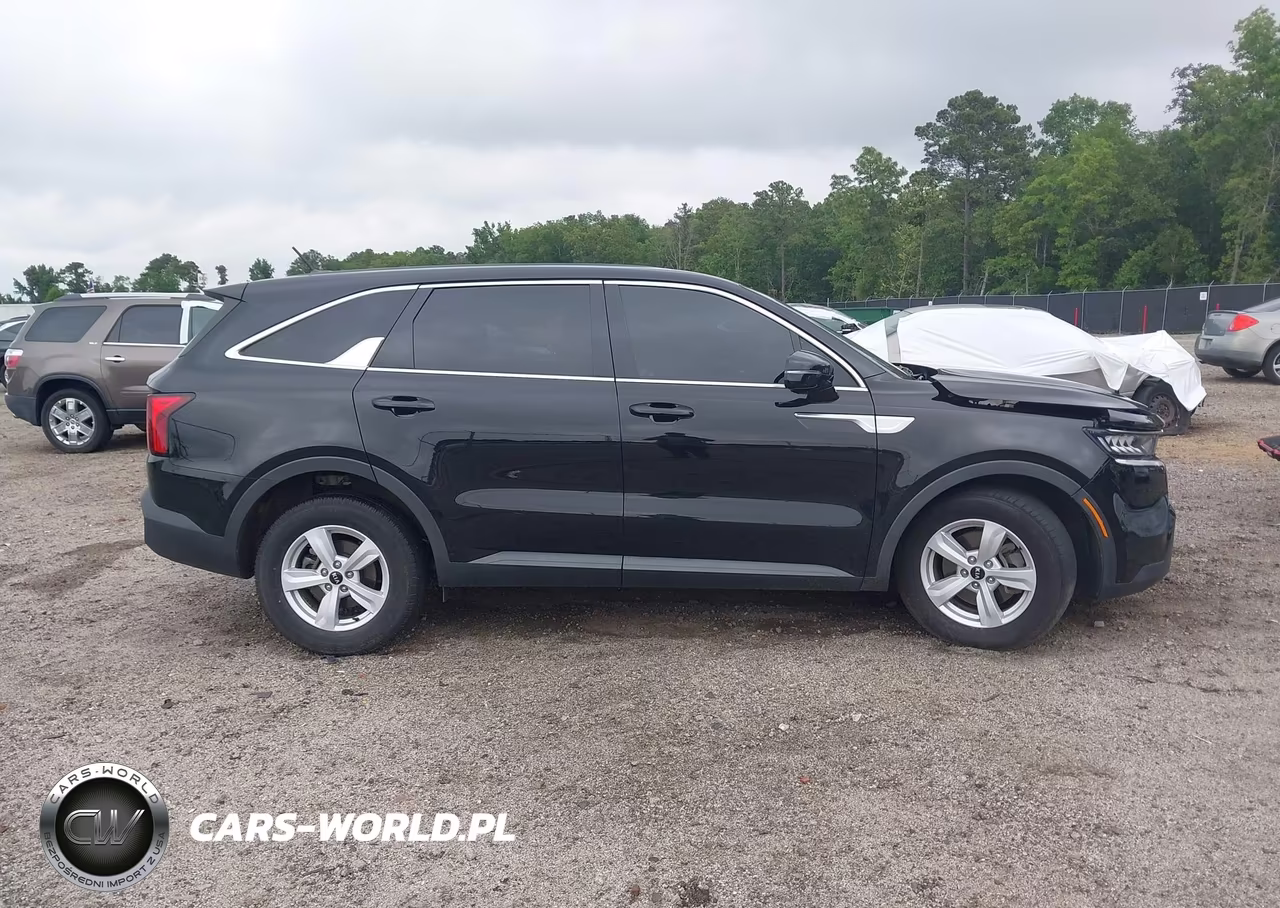 2021 Kia Sorento Lx VIN:5XYRG4LC3MG062458 - 13