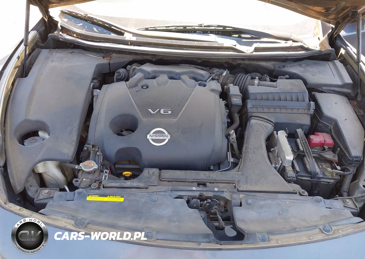2013 Nissan Maxima 3.5 Sv VIN:1N4AA5AP5DC823642 - 10