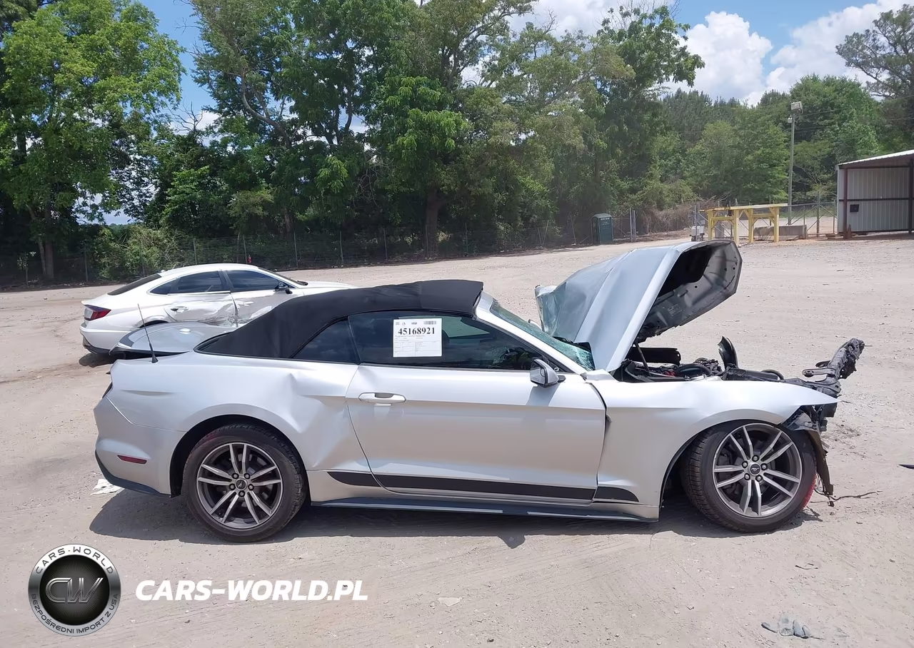 2017 Ford Mustang Ecoboost Premium VIN:1FATP8UH5H5220598 - 12