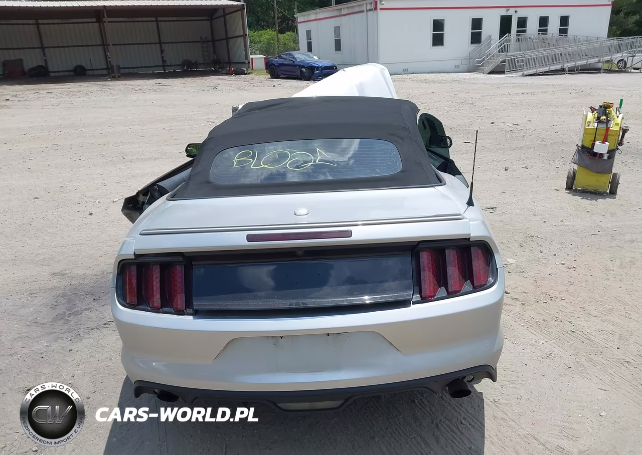 2017 Ford Mustang Ecoboost Premium VIN:1FATP8UH5H5220598 - 15
